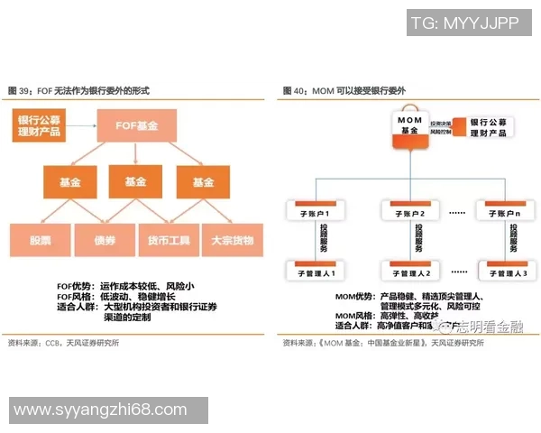 深圳排球队团队协作的独特优势与其他球队的深度对比分析