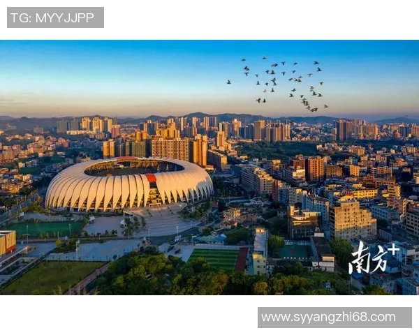 梅州专业足球场建设进展与未来发展规划探讨